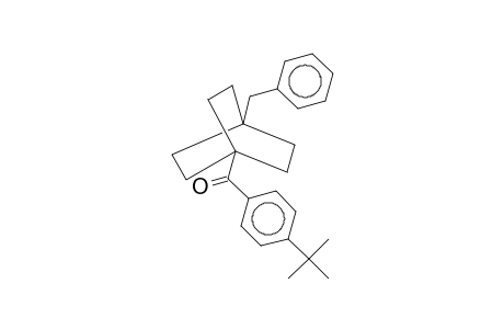 (4-benzylbicyclo[2.2.2]oct-1-yl)(4-tert-butylphenyl)methanone