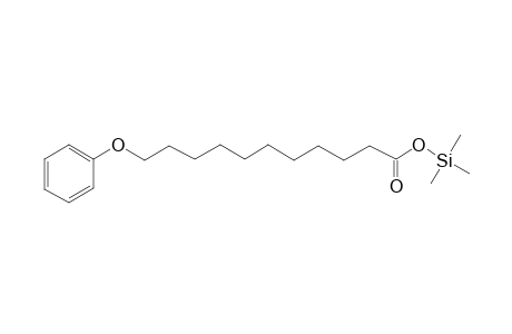 11-Phenoxyundecanoic acid, tms derivative