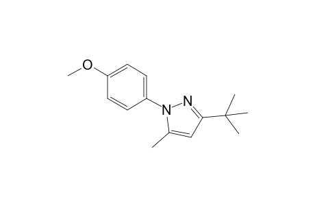 3-tert-Butyl-1-(4-methoxyphenyl)-5-methylpyrazole