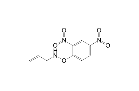 Allyl-(2,4-dinitrophenoxy)amine