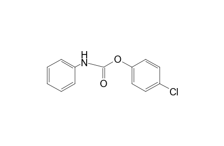 carbanilic acid, p-chlorophenyl ester