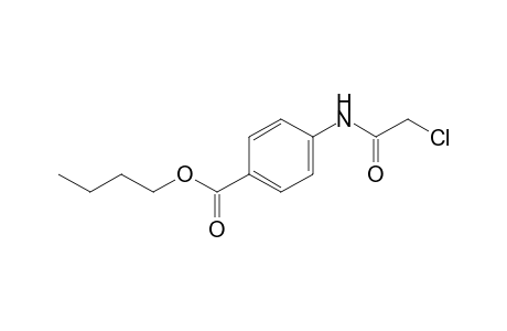 p-(2-chloroacetamido)benzoic acid, butyl ester