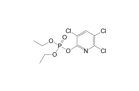 CHLORPYRIFOS, OXYGEN ANALOG