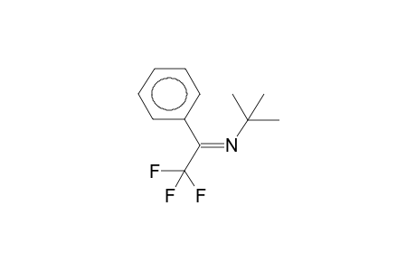 N-TERT-BUTYL-1-PHENYL-2,2,2-TRIFLUOROETHYLIDENAMINE