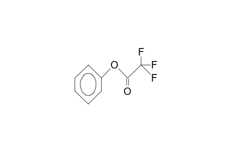 Phenyl trifluoroacetate