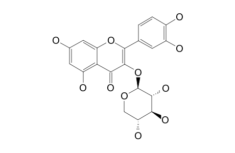 REYNOUTRIN;QUERCETIN-3-O-BETA-D-XYLOPYRANOSIDE