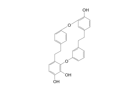 MARCHANTIN-H