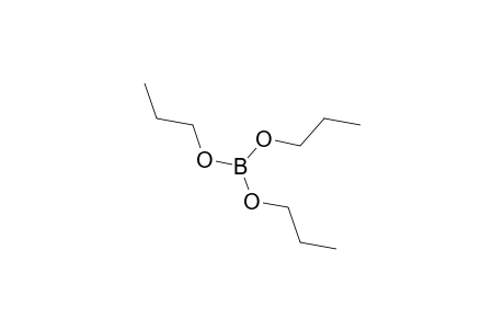 Boric acid tripropyl ester