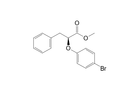 S-methyl 2-(4-bromo-phenoxy)-3-phenyl-propanoate