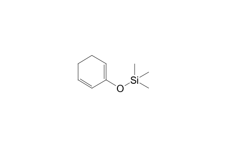 1-cyclohexa-1,5-dienyloxy-trimethylsilane