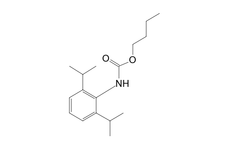 2,6-diisopropylcarbanilic acid, butyl ester