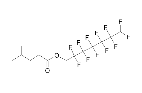 Pentanoic acid, 4-methyl-, 2,2,3,3,4,4,5,5,6,6,7,7-dodecafluoroheptyl ester