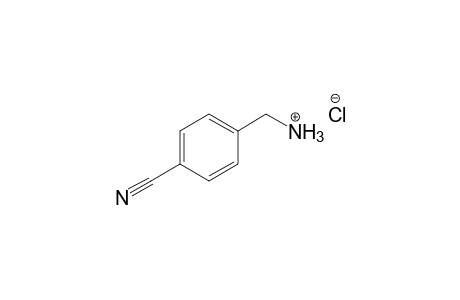 4-(Aminomethyl)benzonitrile hydrochloride