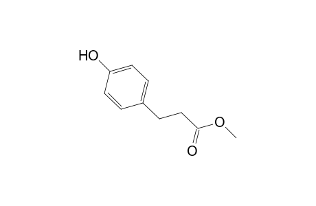 Methyl 3-(4-hydroxyphenyl)propionate