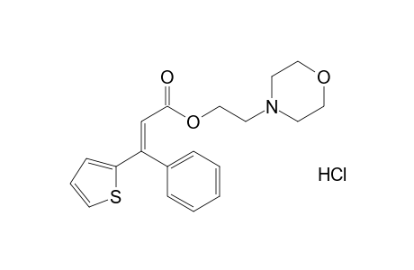 beta-phenyl-2-thiopheneacrylic acid, 2-morpholinoethyl ester, hydrochloride