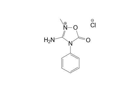 2-Methyl-5-oxo-4-phenyl-1,2,4-oxadiazolidin-3-iminium chloride