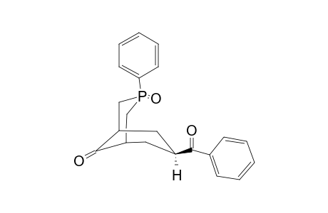 7-BENZOYL-3-PHENYL-3-PHOSPHABICYCLO-[3.3.1]-NONAN-9-ONE-3-OXIDE(#11A)