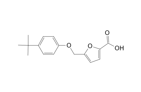 5-[(4-tert-Butylphenoxy)methyl]-2-furoic acid