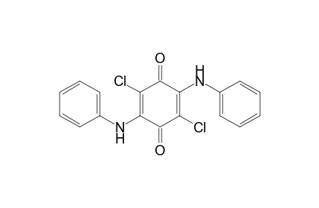 2,5-DIANILINO-3,6-DICHLORO-p-BENZOQUINONE