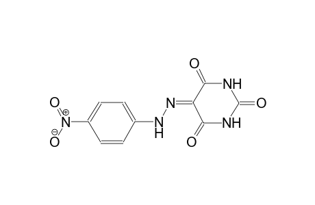 5-(PARA-NITROPHENYL)-AZO-PYRIMIDINE-(1H,3H,5H)-2,4,6-TRIONE;LACTAM-KETO-HYDRAZONE