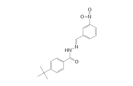 p-tert-butylbenzoic acid, (m-nitrobenzylidene)hydrazide