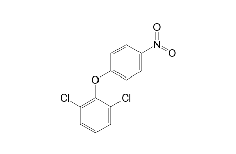 2,6-dichlorophenyl p-nitrophenyl ether