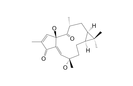 4E-JATROGROSSIDENTADION