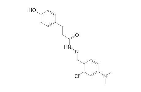 p-hydroxyhydrocinnamic acid, [2-chloro-4-(dimethylamino)benzylidene]hydrazide