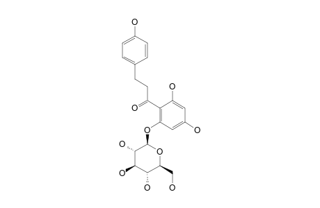 PHLORIDZIN