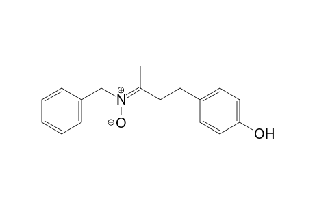 (E)-N-benzyl-4-(4-hydroxyphenyl)butan-2-imine oxide