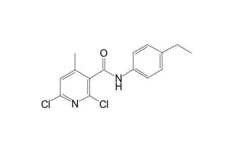 2,6-bis(chloranyl)-N-(4-ethylphenyl)-4-methyl-pyridine-3-carboxamide