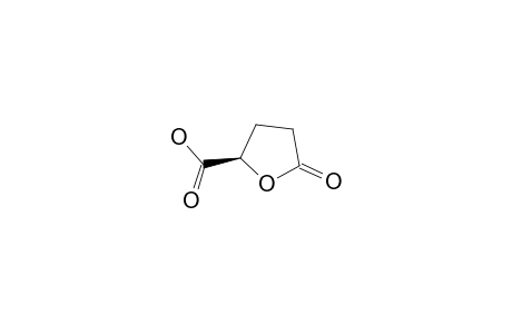 (2S)-5-oxo-Tetrahydro-furan-2-carboxylic-acid