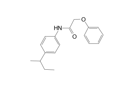 N-(4-sec-butylphenyl)-2-phenoxyacetamide