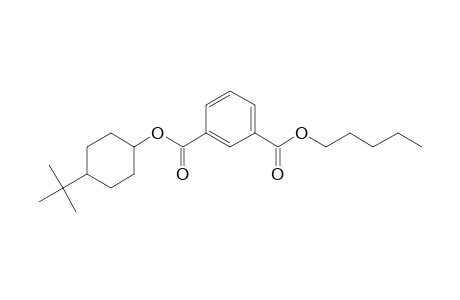 Isophthalic acid, pentyl 4-tert-butylcyclohexyl ester