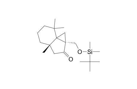 3.alpha.,6.beta.-3-t-Butyldimethylsilyloxymethyl-6,10,10-trimethyltricyclo[4.4.0.0(1,3)]decan-4-one