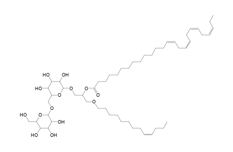 DGDG O-13:1_26:4