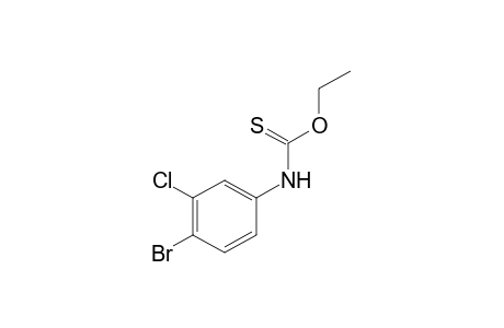 4-bromo-3-chlorothiocarbanilic acid, O-ethyl ester