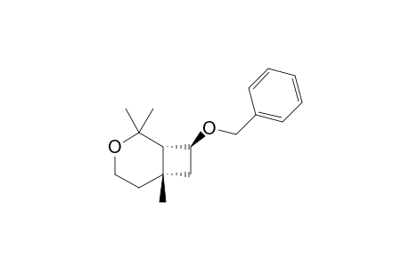 (1S,6S,8S)-8-BENZYLOXY-2,2,6-TRIMETHYL-3-OXABICYCLO-[4.2.0]-OCTANE