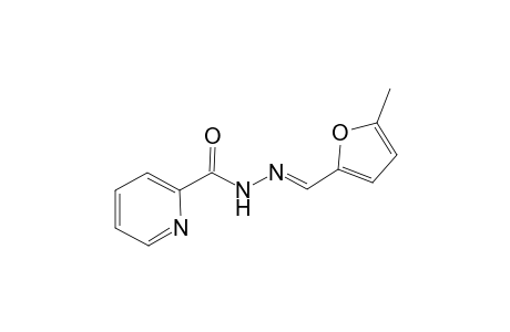 N-[(E)-(5-methyl-2-furanyl)methylideneamino]-2-pyridinecarboxamide