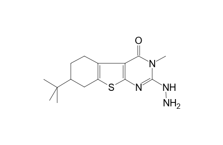 7-tert-Butyl-2-diazanyl-3-methyl-5,6,7,8-tetrahydro-[1]benzothiolo[2,3-d]pyrimidin-4-one