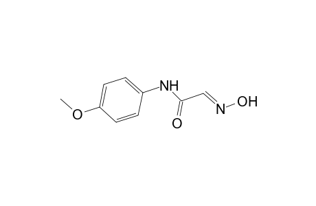 p-glyoxylanisidide, 2-oxime