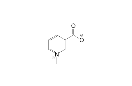 3-carboxy-1-methylpyridinium hydroxide, inner salt