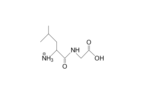 Leucyl-glycine cation