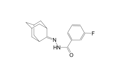 3-fluoro-N'-tricyclo[3.3.1.1~3,7~]dec-2-ylidenebenzohydrazide