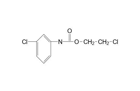 m-chlorocarbanilic acid, 2-chloroethyl ester