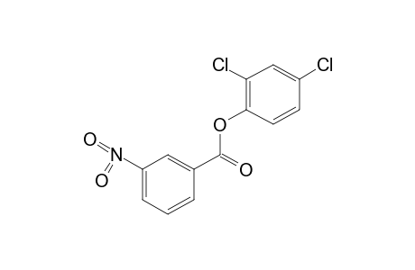 m-nitrobenzoic acid, 2,4-dichlorophenyl ester