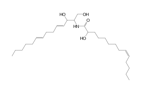 Cer 14:2;2O/14:1;(2OH)