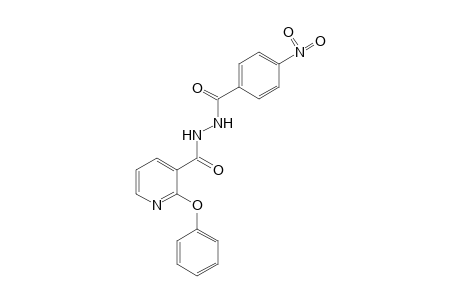 1-(p-nitrobenzoyl)-2-(2-phenoxynicotinoyl)hydrazine