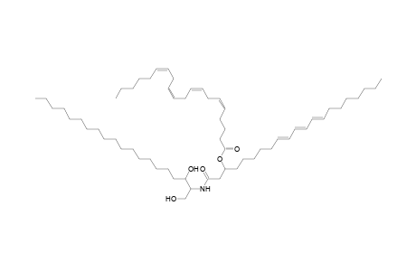 Cer 20:0;2O/21:3;(3OH)(FA 20:4)