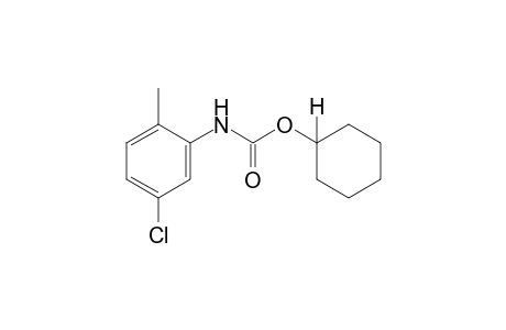 5-chloro-2-methylcarbanilic acid, cyclohexyl ester